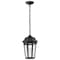 Nuvo East River Outdoor Hanging Fixture LED SMART Starfish RGBTW Matte Black, Clear Water Glass 62/5944 - alternate 6
